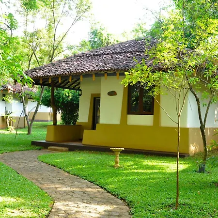 Amaya Lake Dambulla-2